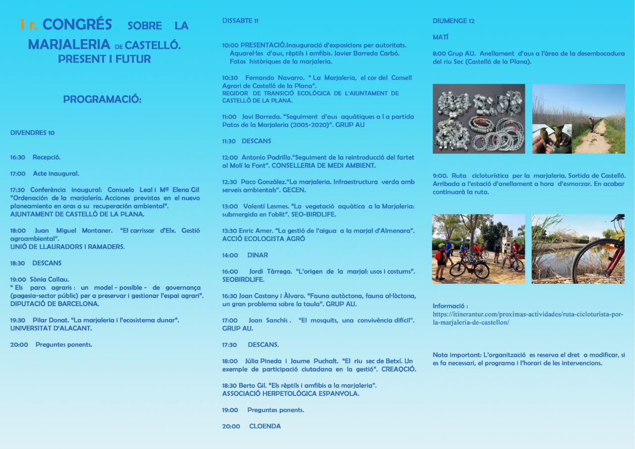 programació Marjaleria