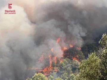 IF VALL INICIO  en tamaño mediano