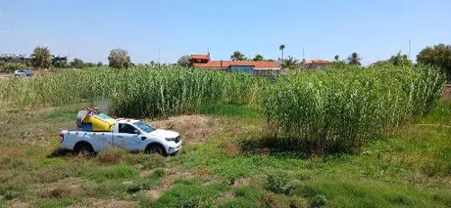 fumigacio5