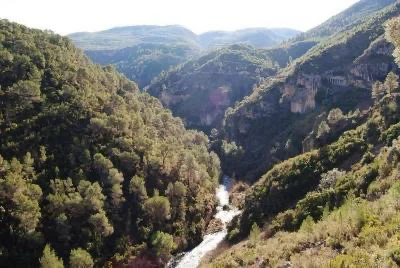 260401_MED_foto_bosque en tamaño mediano