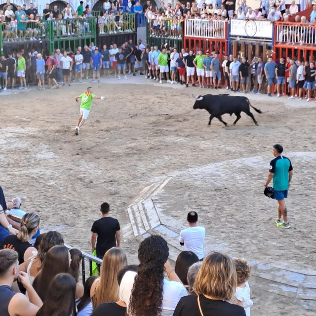 Nules bous  en tamaño mediano