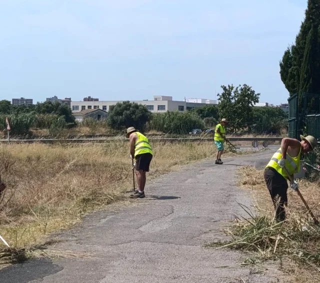 Limpieza Caminos Empleo Agrario (2) en tamaño mediano
