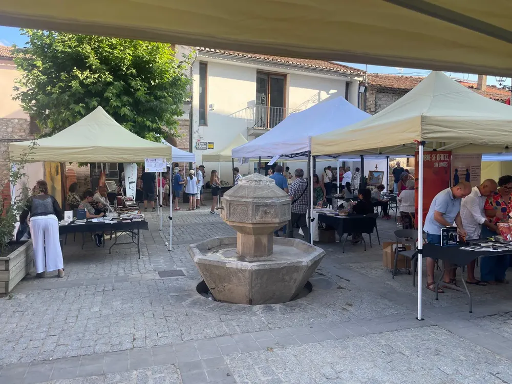 Villa de El Toro V Feria del Libro y la Cultura 2025 (2)