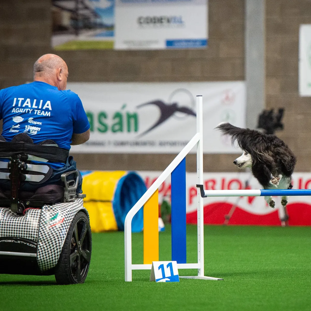 paraagility