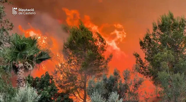 incendio soneja 2 en tamaño mediano