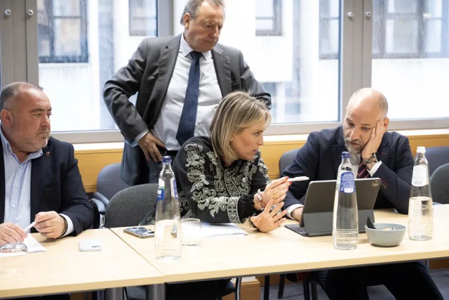 Defensa cerámica en Parlamento Europeo en tamaño mediano