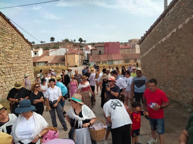 Fiesta de la siega y la trilla Villa de El Toro 2026 (4) en tamaño mediano