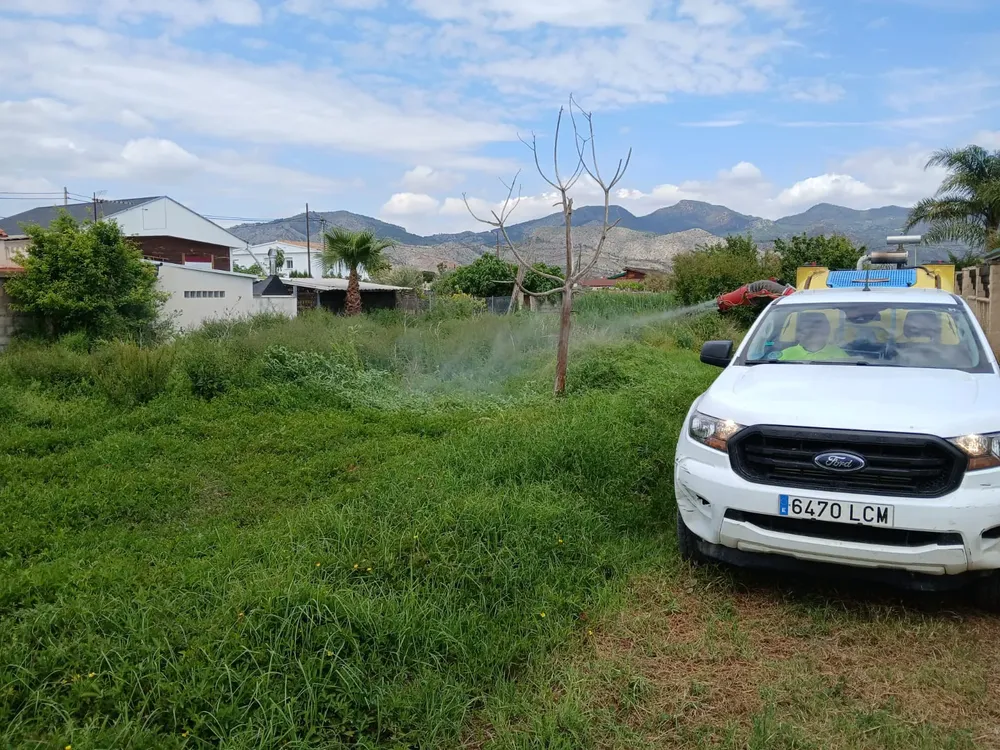 actuaciones mosquitos (2)