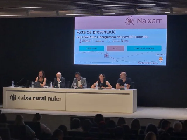 nules naixem en tamaño mediano