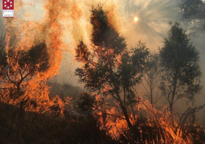 ElgJwfbXIAE4NwS-710x500