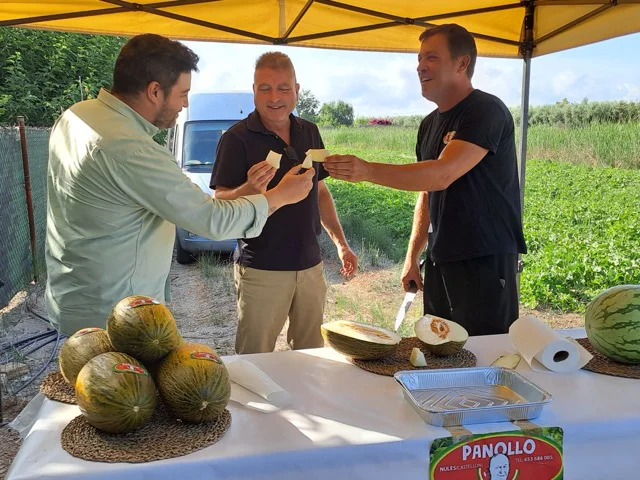 Melones panollo 4 en tamaño mediano