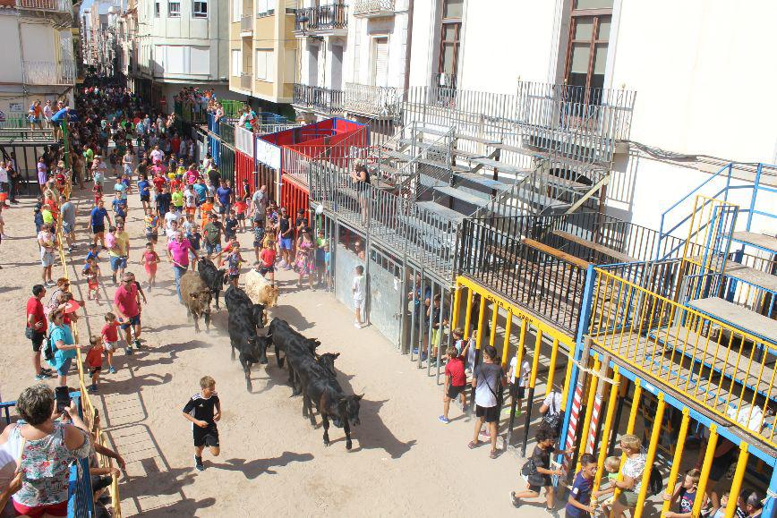 Entrega premios carteles