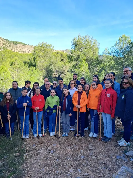 Reforestación (2)