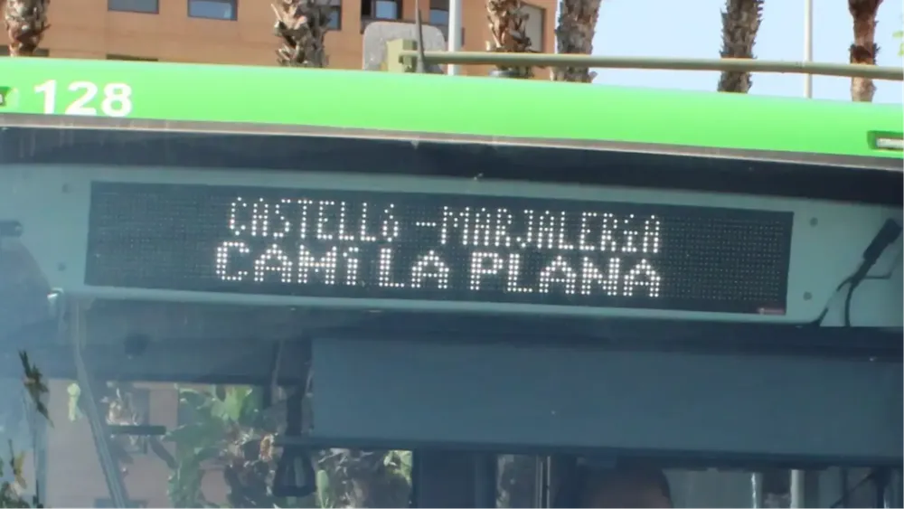 bus