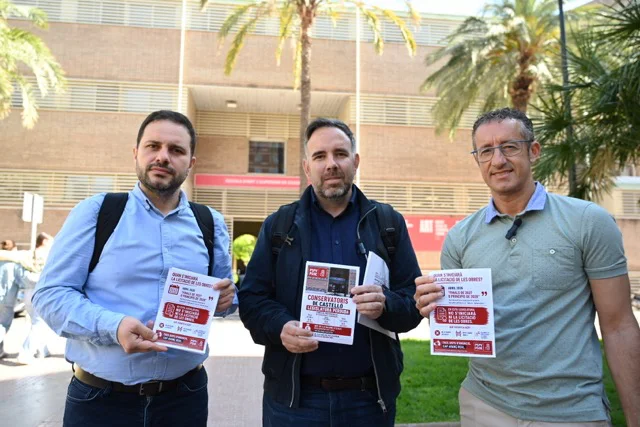 Conservatorios - Simo Lorenz Lopez en tamaño mediano