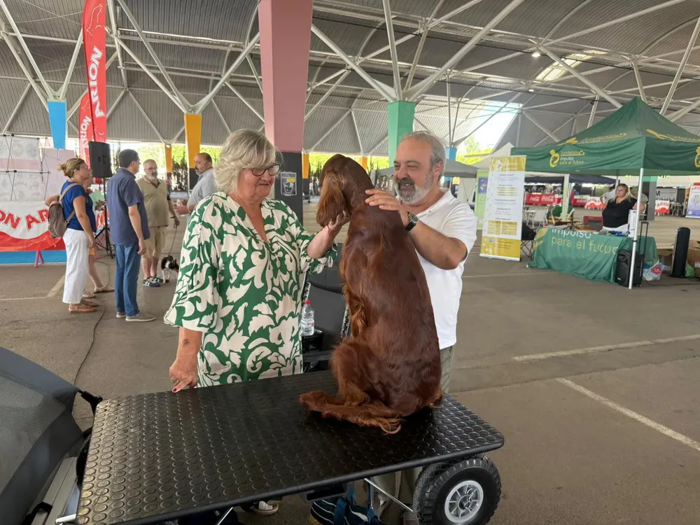 Ferrer concurso canino Refeyme