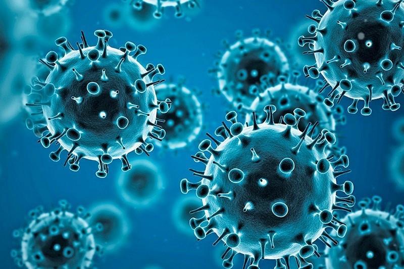 coronavirus-2
