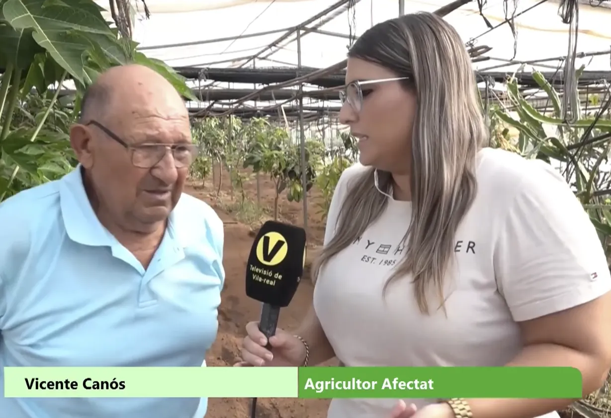 Captura de pantalla 2025-09-17 a las 15.38.36