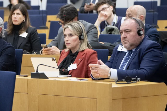 Bruselas - Defensa Cerámica (2) en tamaño mediano