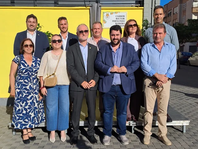 Nules rector  en tamaño mediano