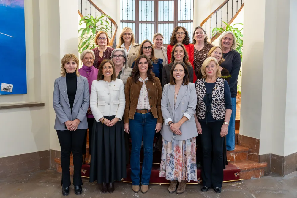 Consell Provincial de la Dona