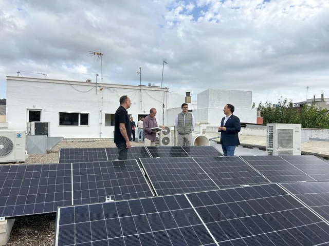 placas fotovoltaicas (1) en tamaño mediano