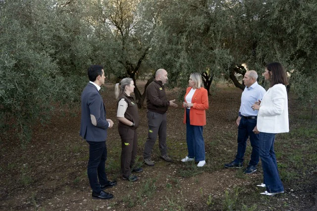 Guardas rurales en tamaño mediano