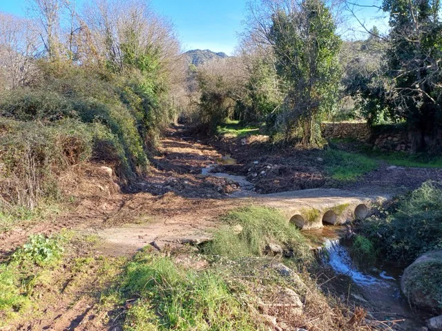 Trabajos de limpieza barranco Algimia de Almonacid en tamaño mediano