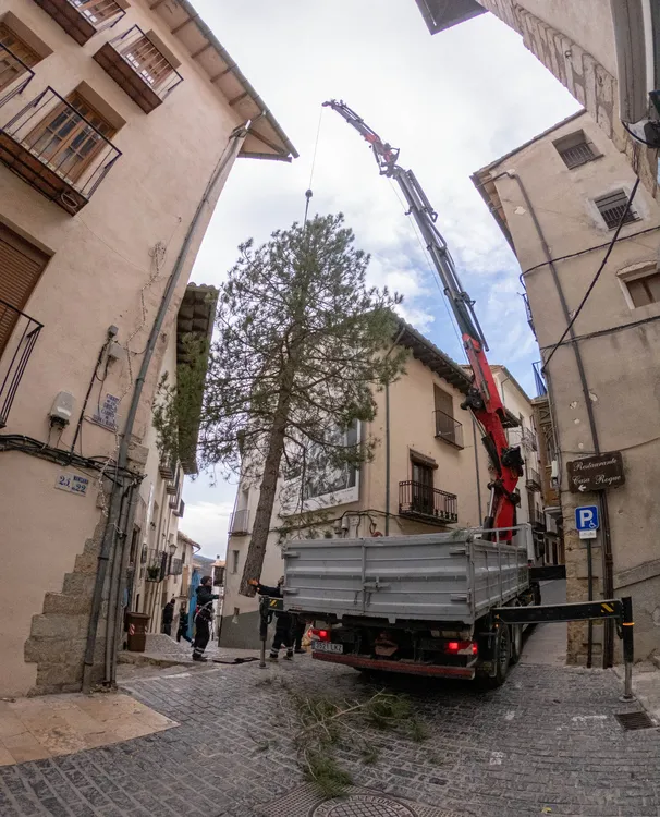 2025-11-17 Arbre de Nadal