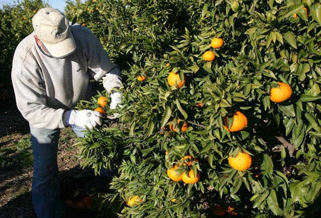 LV_20140407_LV_FOTOS_D_54405543323-kHFC--656x446@LaVanguardia-Web