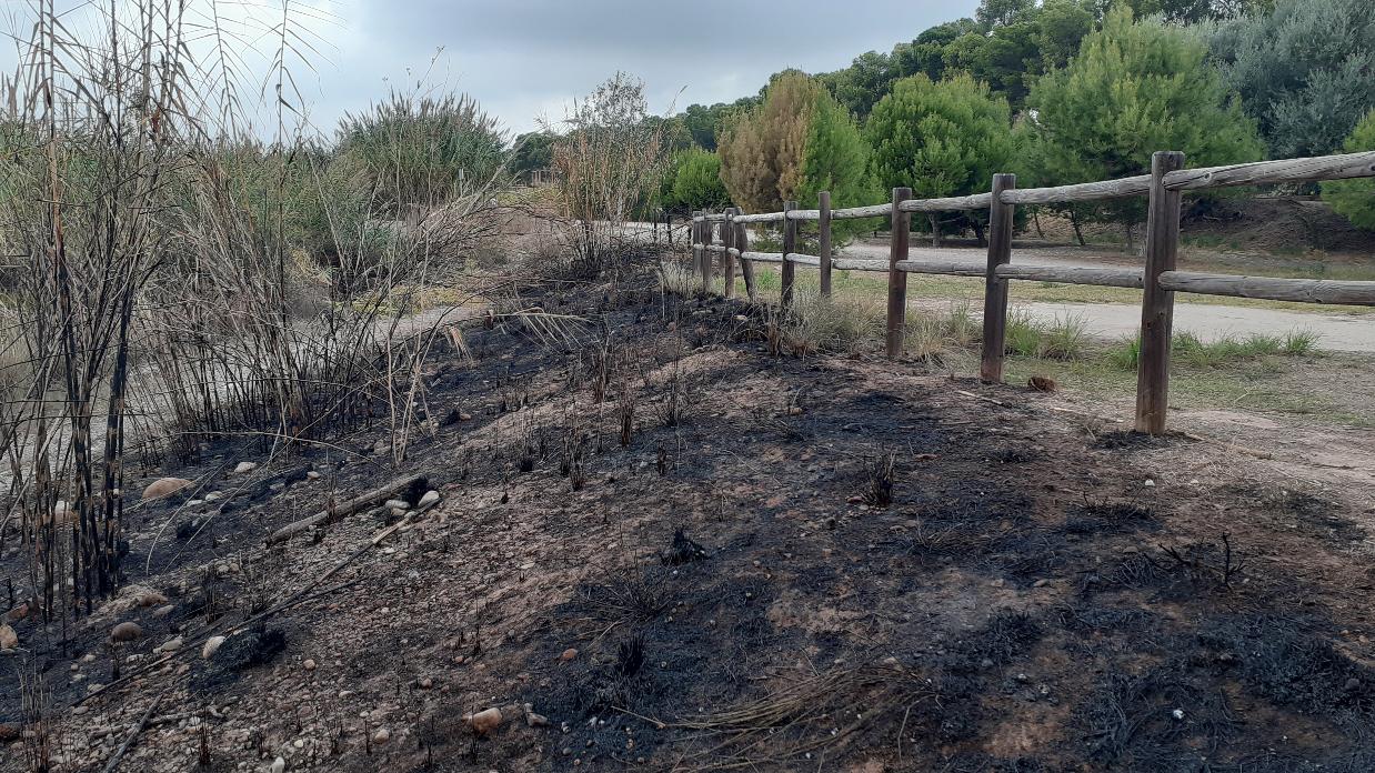 INCENDI ZONA REBALLADORES 1