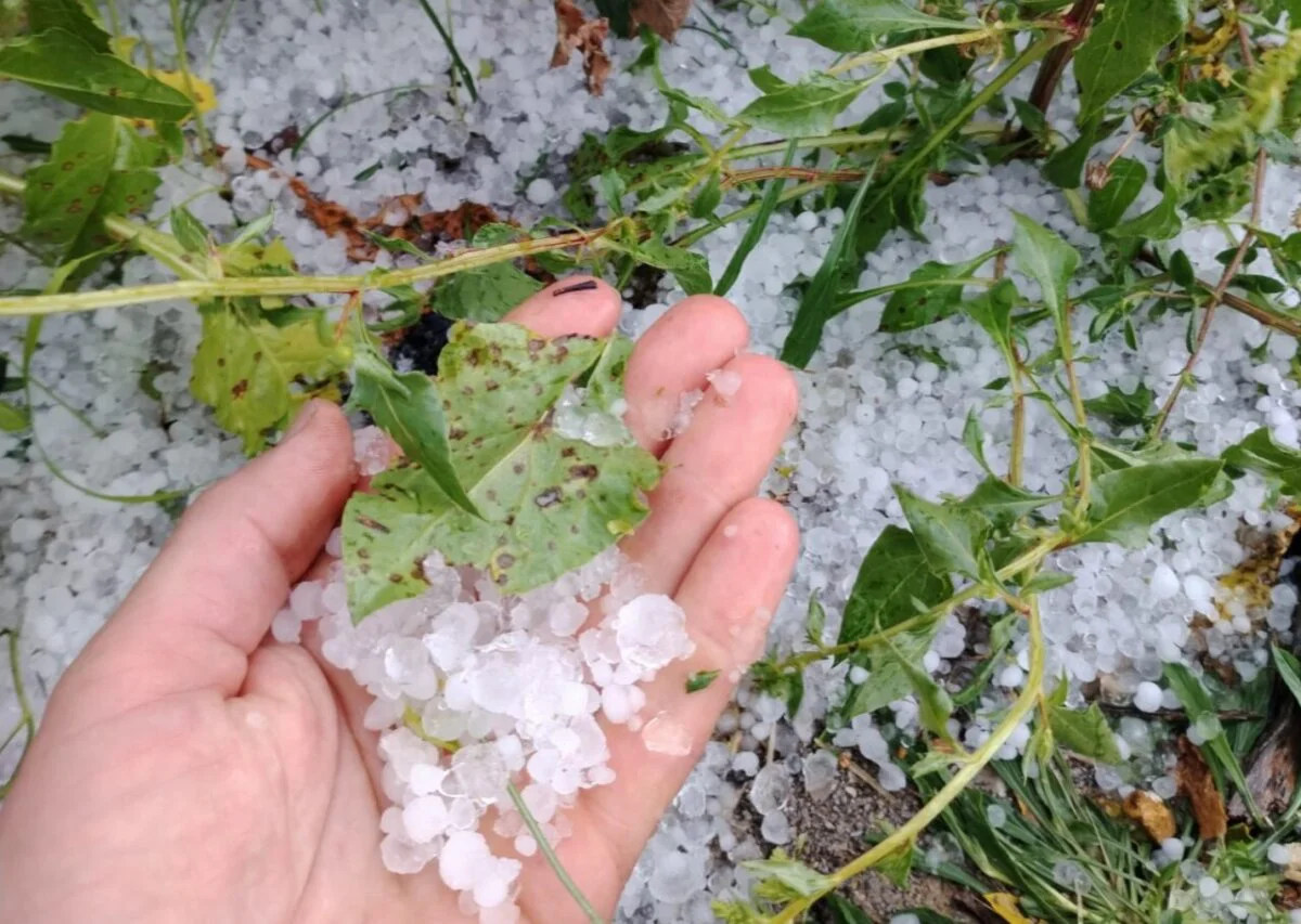 granizada