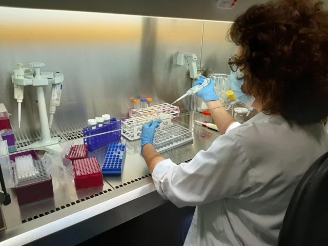 Investigacion en tamaño mediano