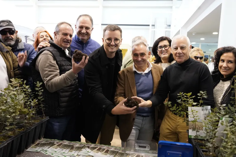 XXII Feria de la Trufa Negra Villa de El Toro (2)