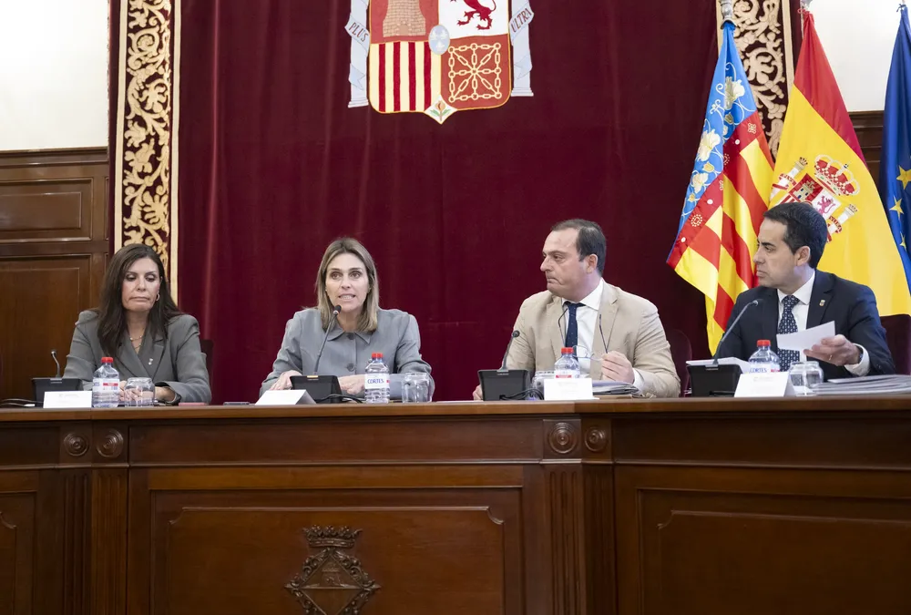 Pleno extraordinario - Presupuesto 2026 (2)
