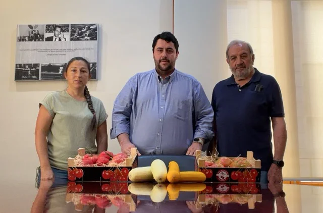TOMATA NULES 1 en tamaño mediano