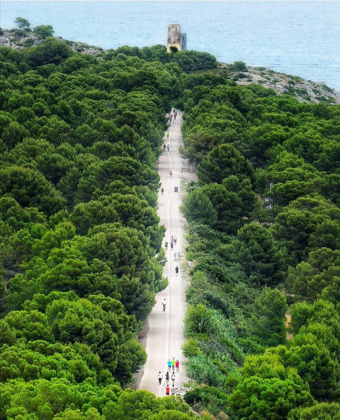Vía Verde desde arriba
