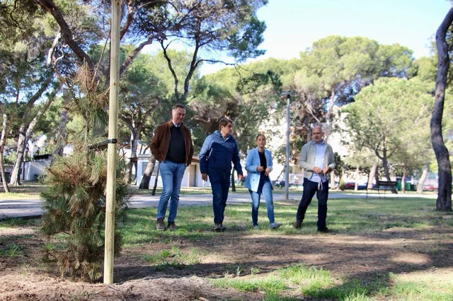 Gonzalo Romero plantación Pinar 2 en tamaño mediano