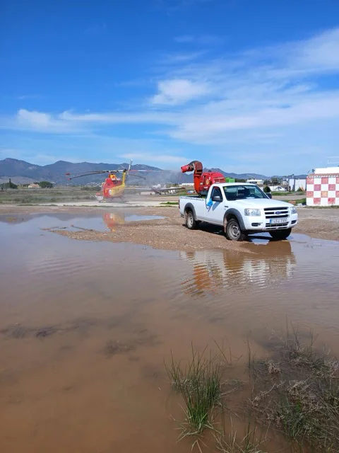 mosquitos en tamaño mediano