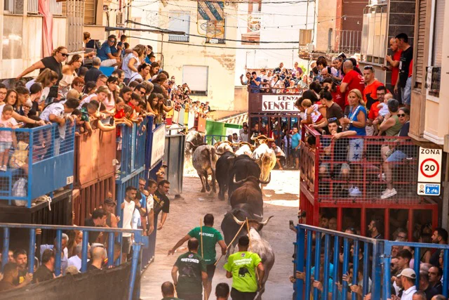 8 - TOROS CERR. - SÁBADO 29 - RRSS-8 en tamaño mediano