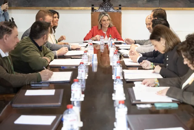 Junta de Gobierno (1) en tamaño mediano