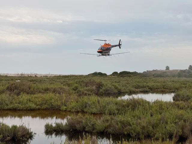 Tratamientos aéreos mosquitos (1) en tamaño mediano