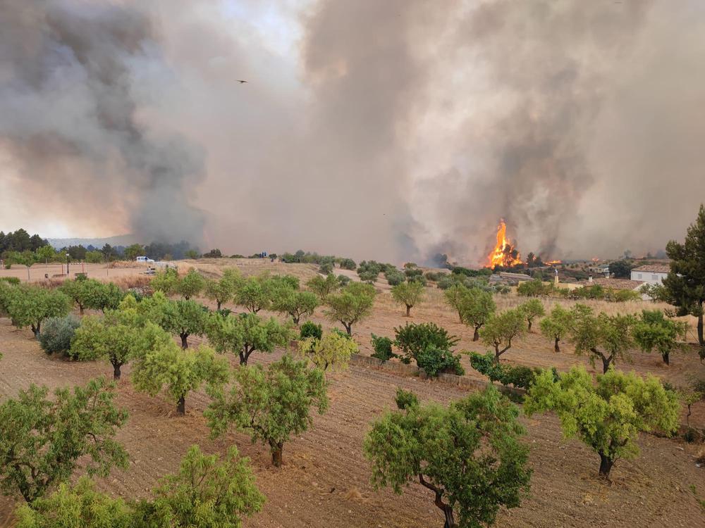 WhatsApp Image 2022-07-04 at 7.06.48 PM