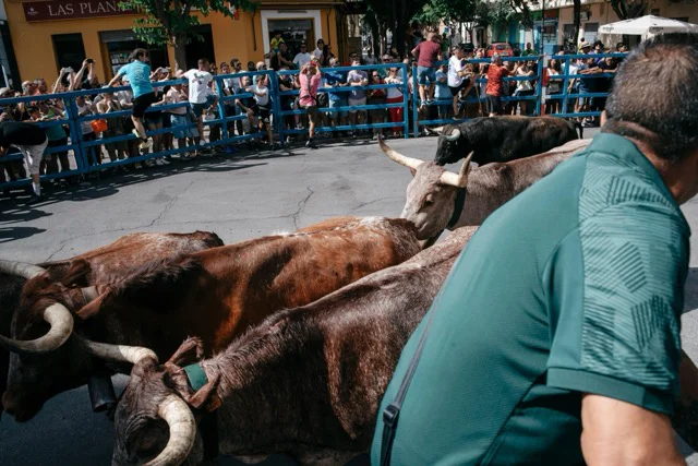 Encierro Sant Pere en tamaño mediano