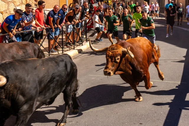 8 - TOROS CERR. - SÁBADO 29 - RRSS-2 en tamaño mediano