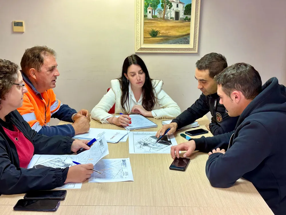 Cámaras de seguridad reunión Torreblanca