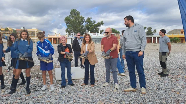 20261022_111347 en tamaño mediano