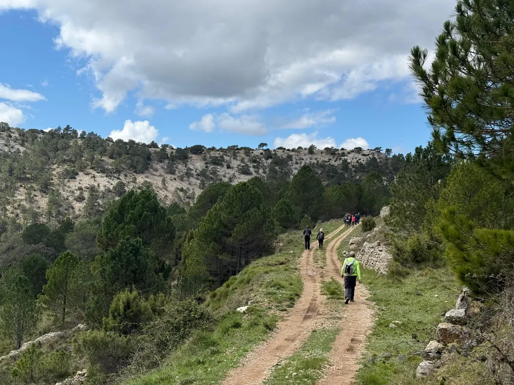 sendero