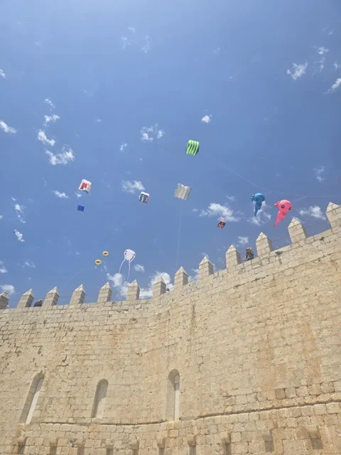 VIENTO PEÑÍSCOLA 5 en tamaño mediano