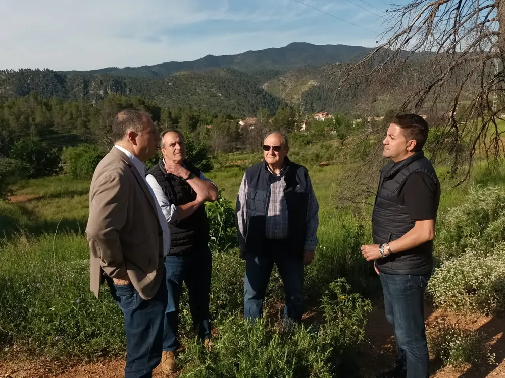 Alcalde de Puebla de Arenoso y teniente de alcalde